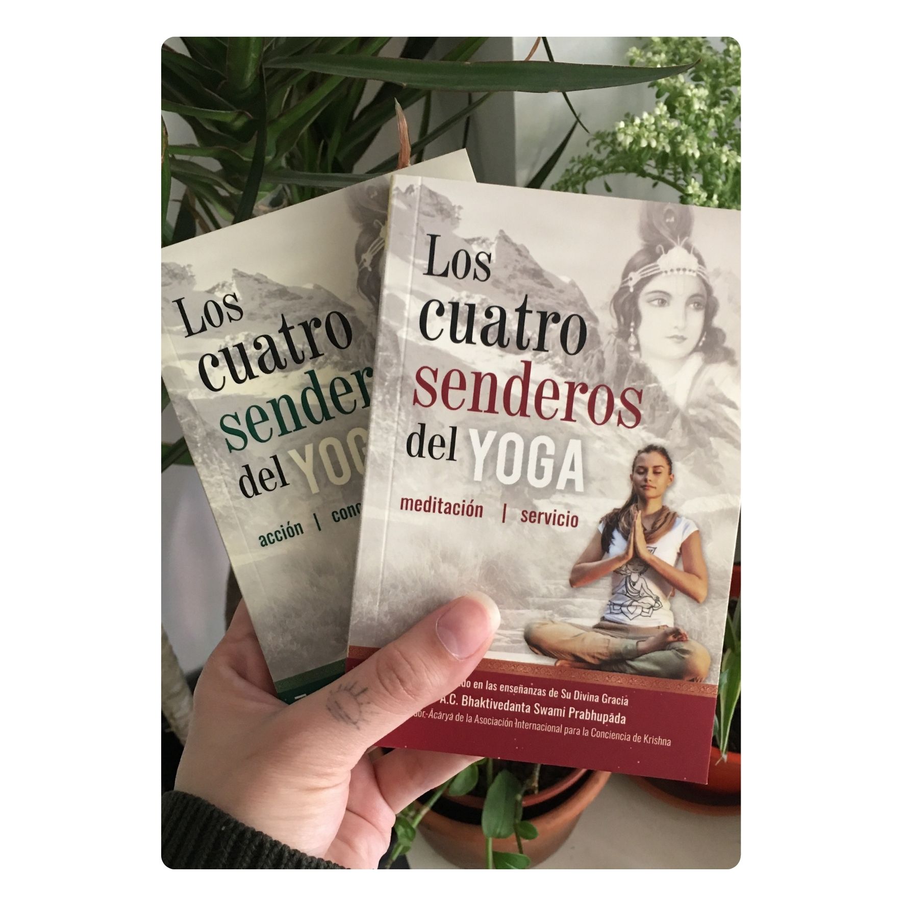 Promo 4 Libros - Imagen 4